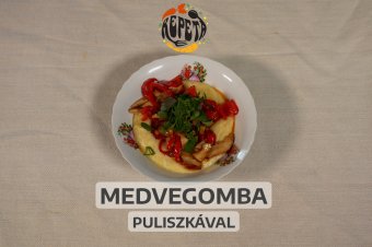 Medvegomba puliszkával – videó