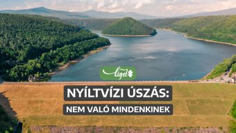 A tó nem medence: ne ugorj fejest a veszélybe