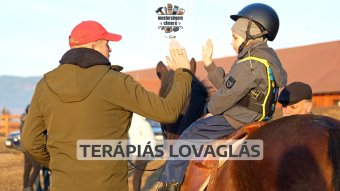 Ahol a ló gyógyító ereje találkozik a szakemberek odaadásával | Mesterségem címere