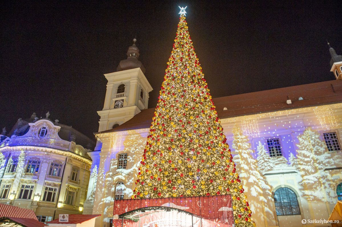 Kivetített havas fenyők. Így, ha téli hangulatba kerülünk. Képünk illusztráció •  Fotó: Beliczay László