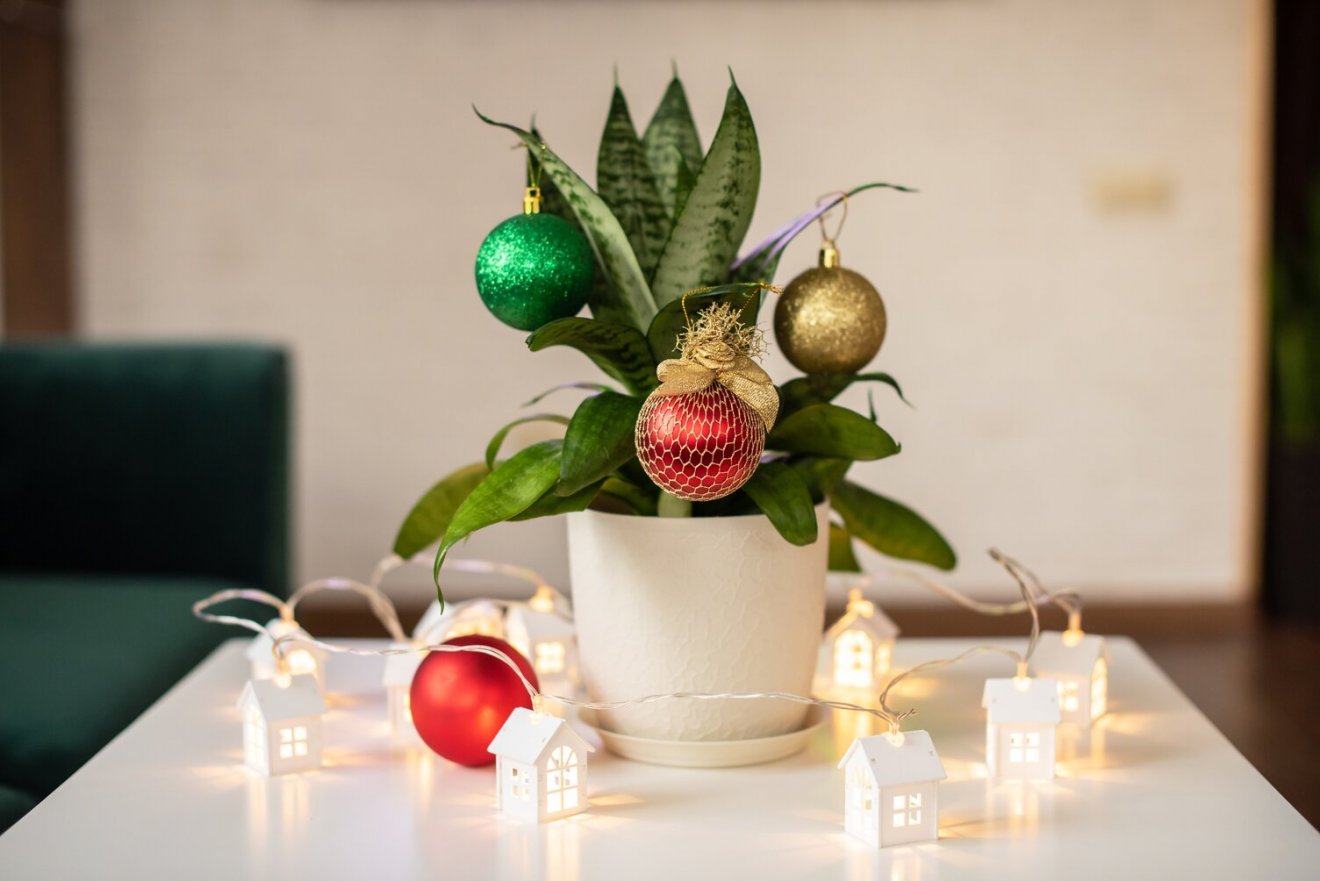 •  Fotó: Illusztráció: Shutterstock