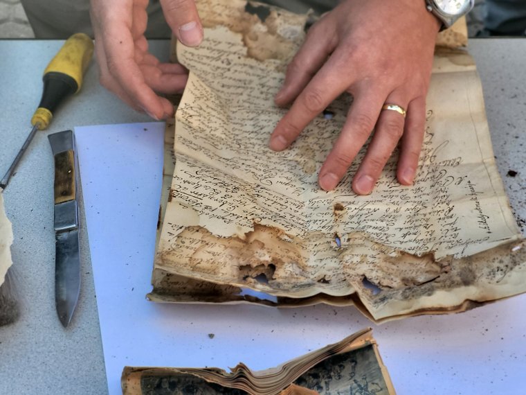 Évszázados időkapszulák nyomában: toronygombba rejtett üzenetek