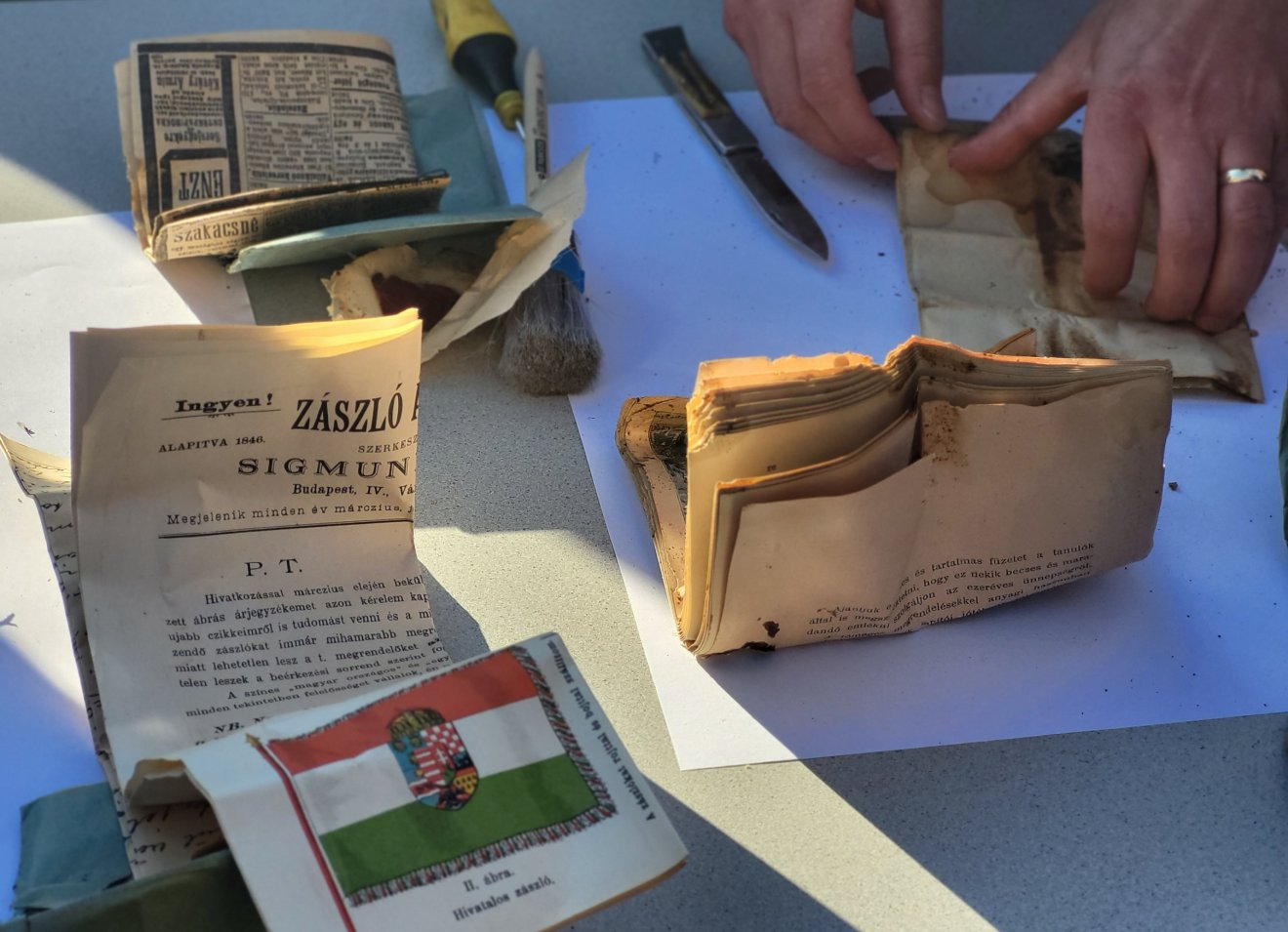 •  Fotó: Magyari Tekla