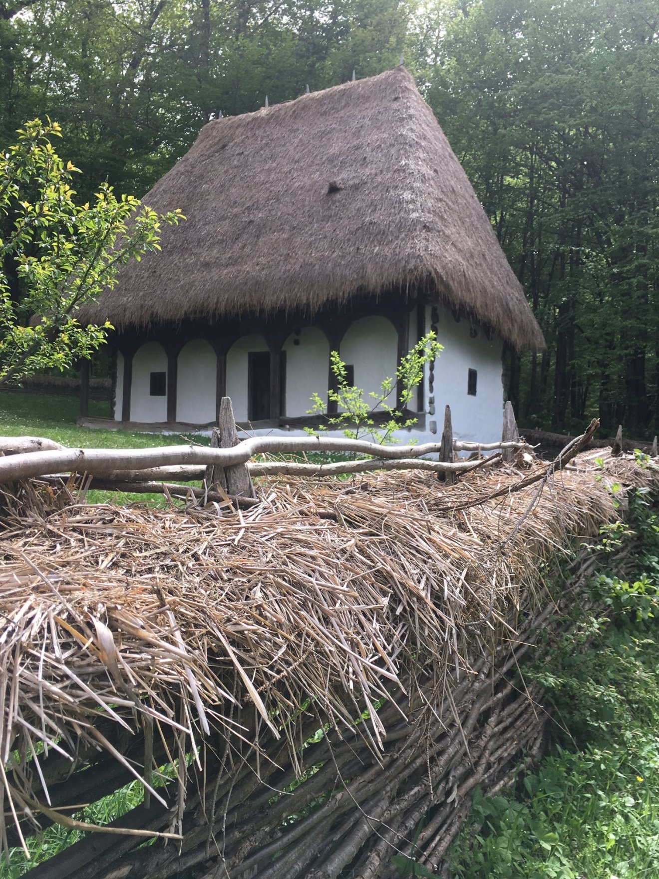 •  Fotó: Asztalos Ágnes