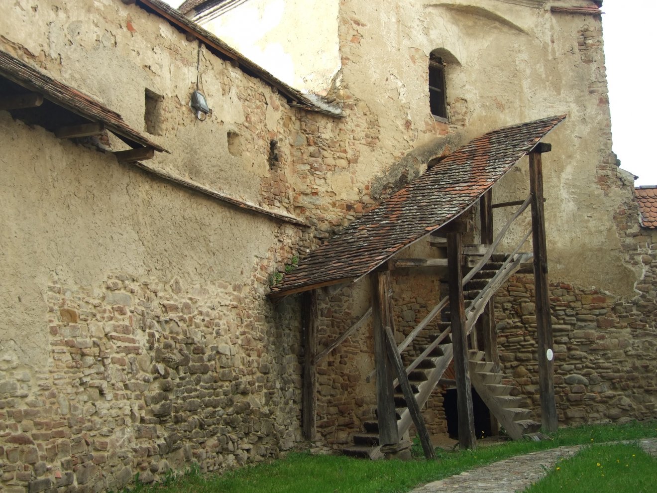 Erked •  Fotó: Asztalos Ágnes