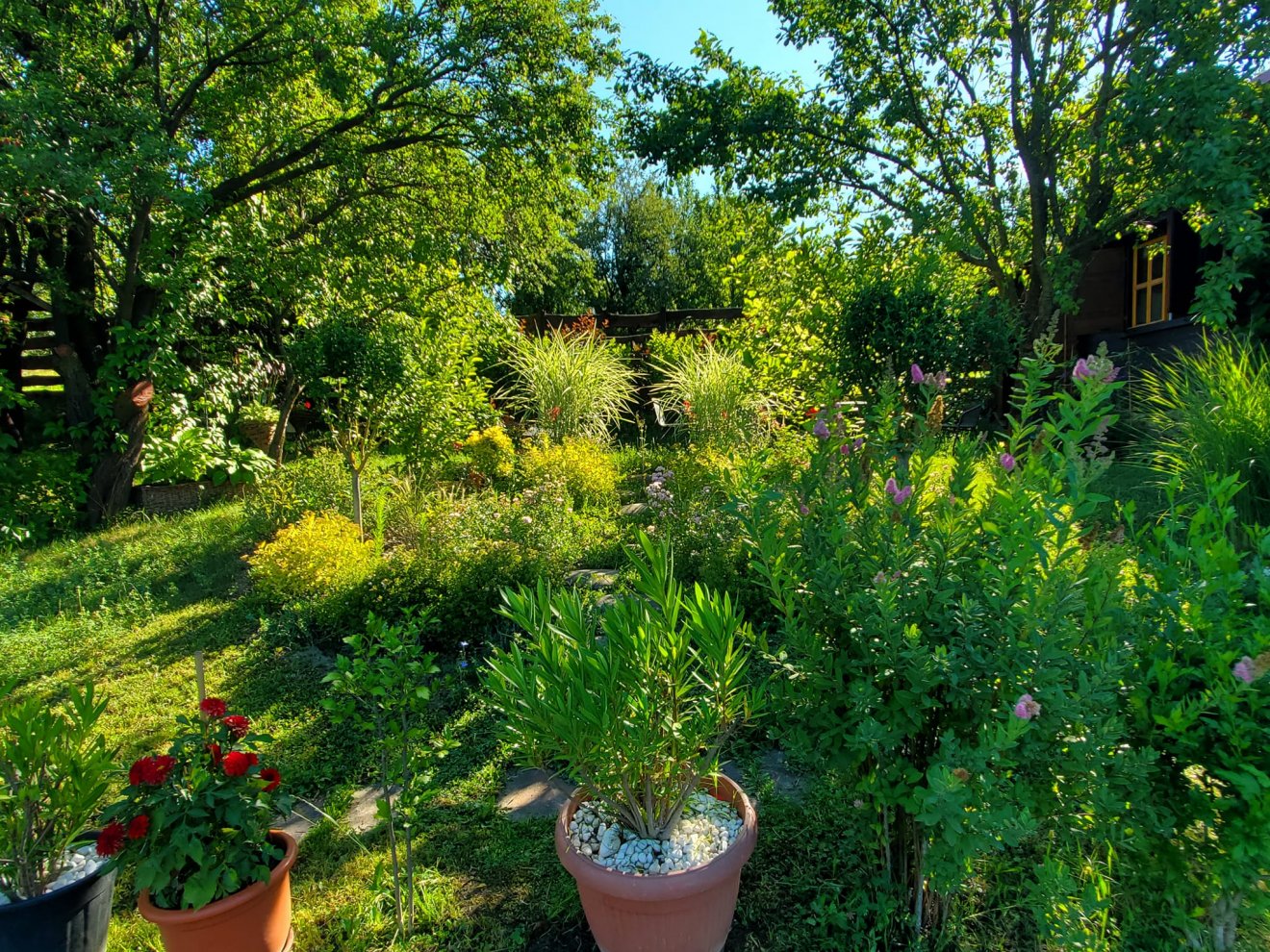 A kert, a természetközeliség miatt is választják sokan a falusi környezetet a nagyvárosi helyett