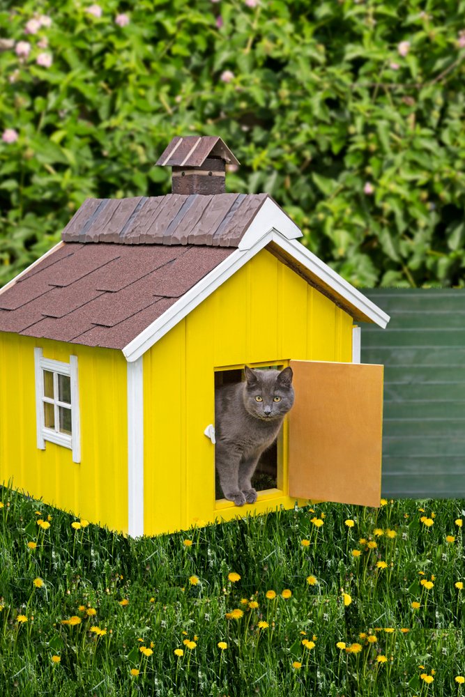 •  Fotó: Illusztráció: Shutterstock