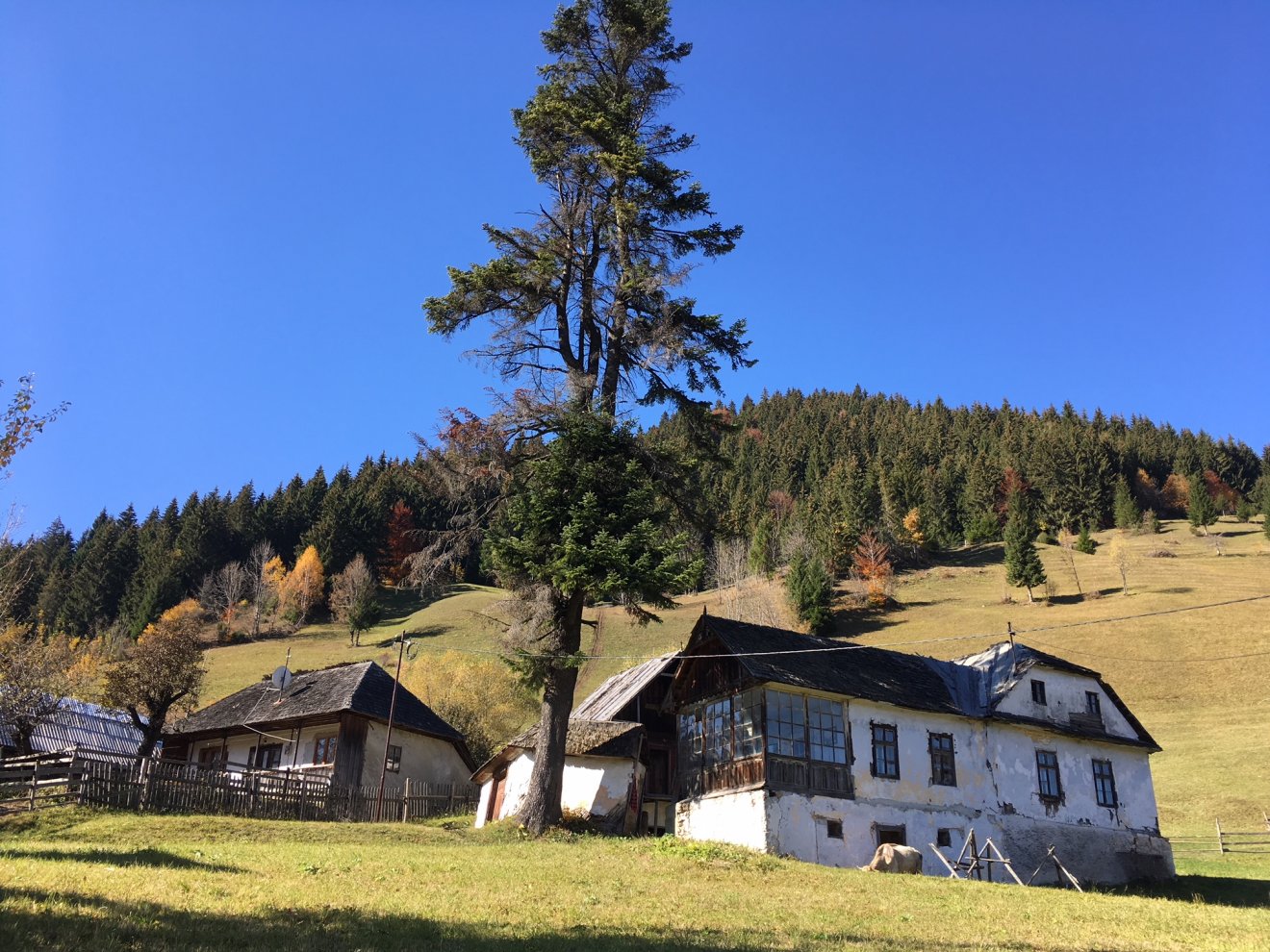 •  Fotó: Asztalos Ágnes
