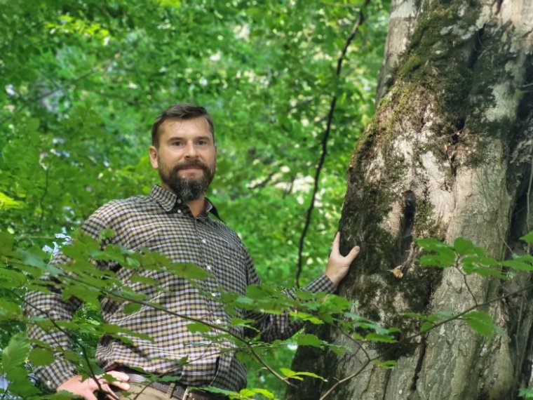 Kádár Tibor Sándor: Nem látjuk a fától az erdőt