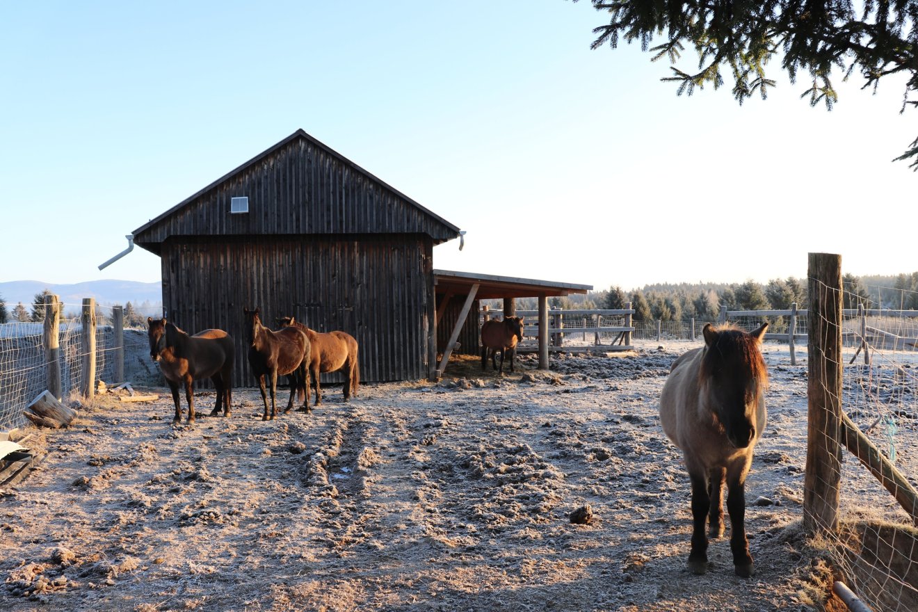 • Fotó: Magyari Tekla