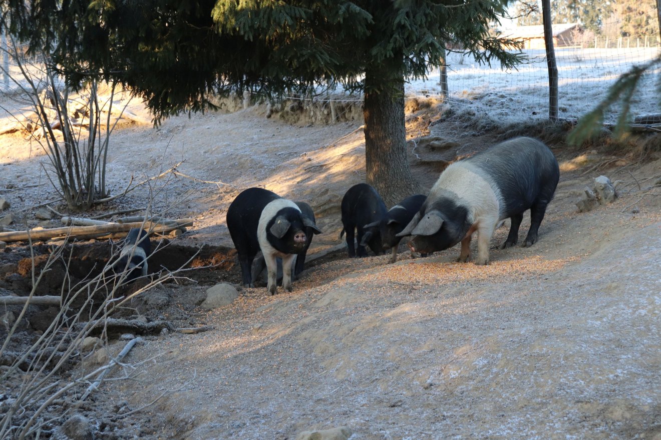 • Fotó: Magyari Tekla