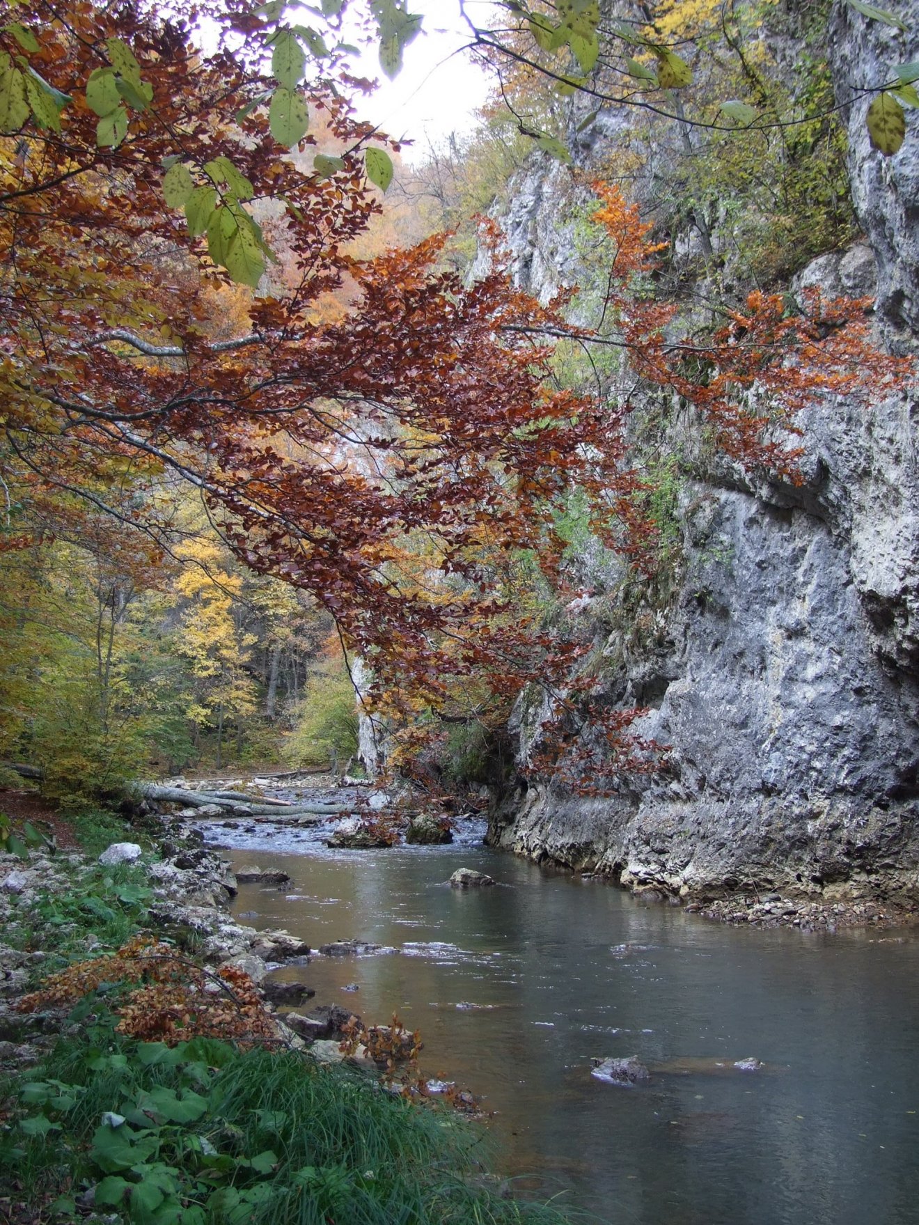 •  Fotó: Asztalos Ágnes