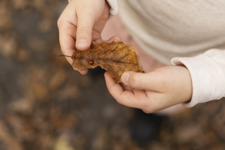 Fodor Györgyi: Többet ősszel, mint erővel