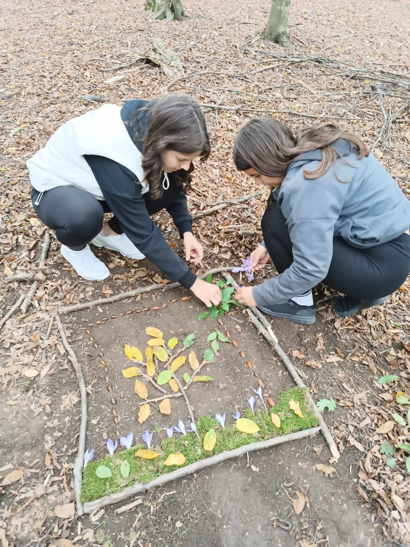 •  Fotó: Erdei iskola tevékenységek