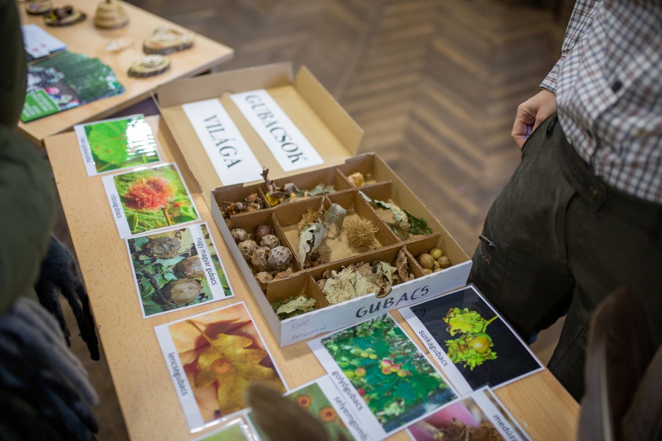 •  Fotó: Erdei iskola tevékenységek