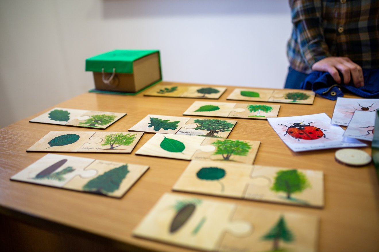 •  Fotó: Erdei iskola tevékenységek