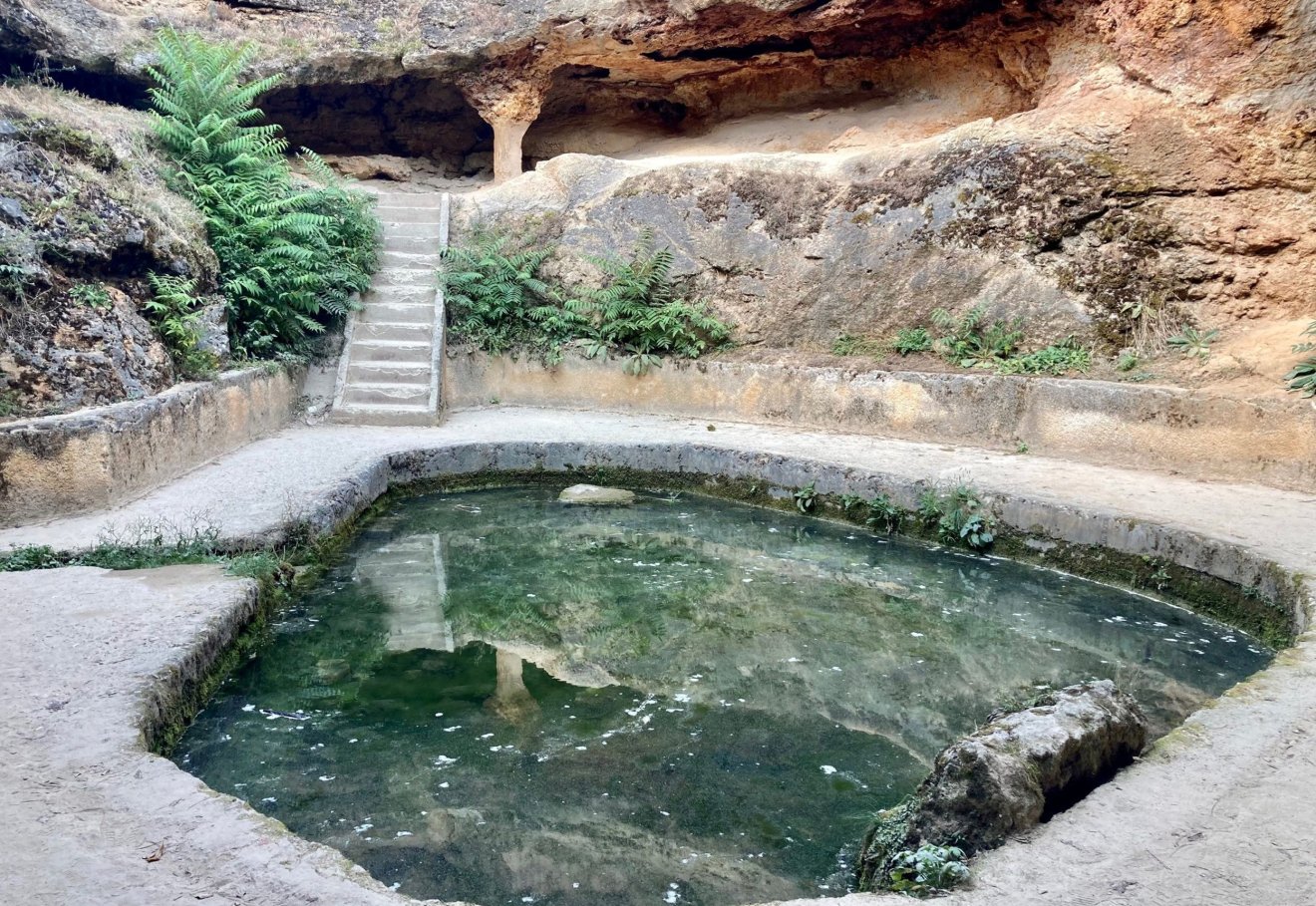 &bullet;  Fotó: Asztalos Ágnes