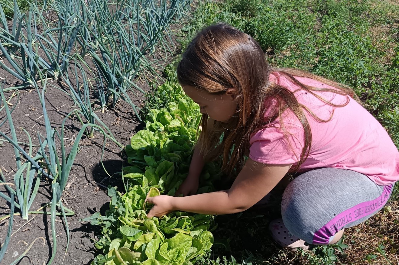 •  Fotó: Hargita Megye Tanácsának Vidékfejlesztési Egyesülete