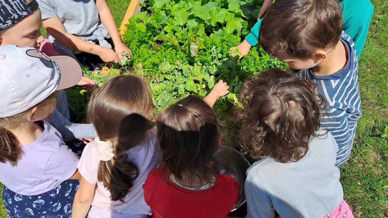 •  Fotó: Hargita Megye Tanácsának Vidékfejlesztési Egyesülete