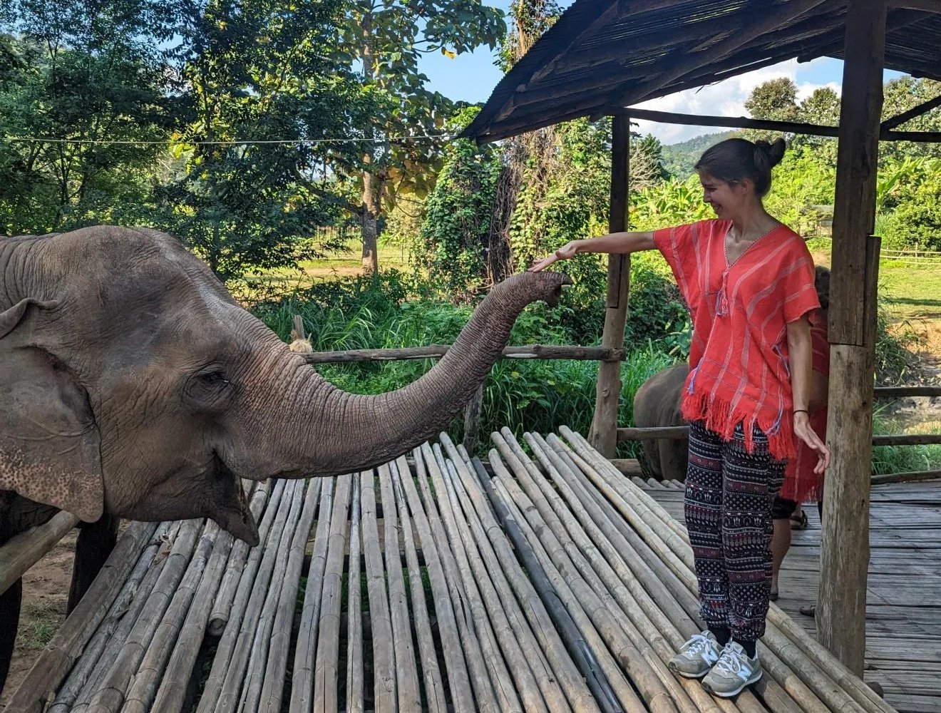 &bullet;  Fotó: Katona Andrea archívuma