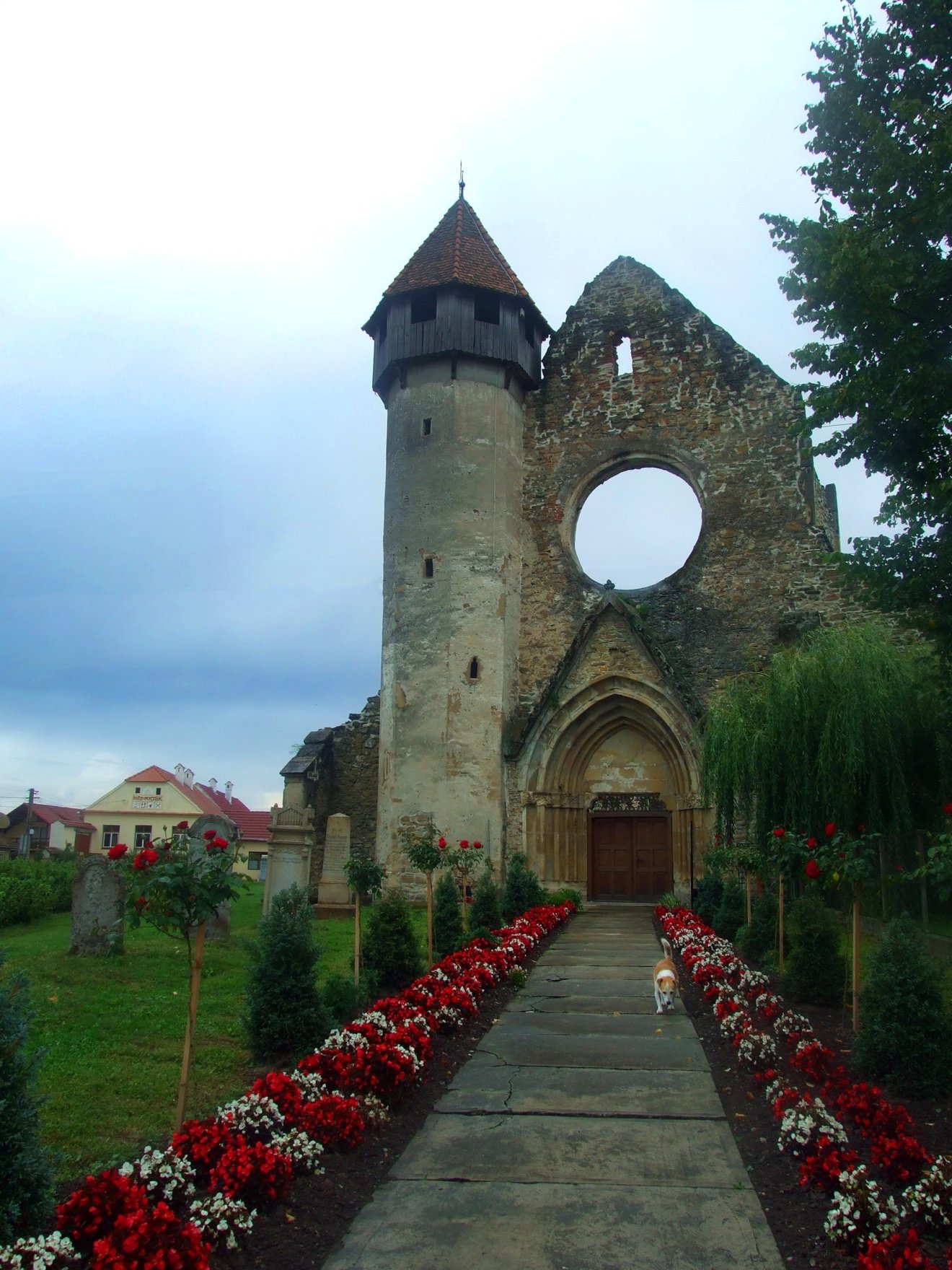 •  Fotó: Asztalos Ágnes