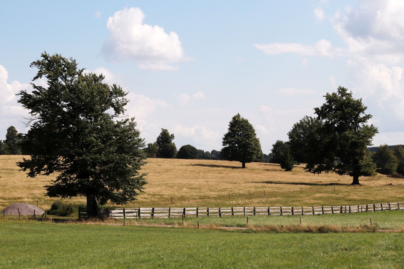 •  Fotó: Magyari Tekla