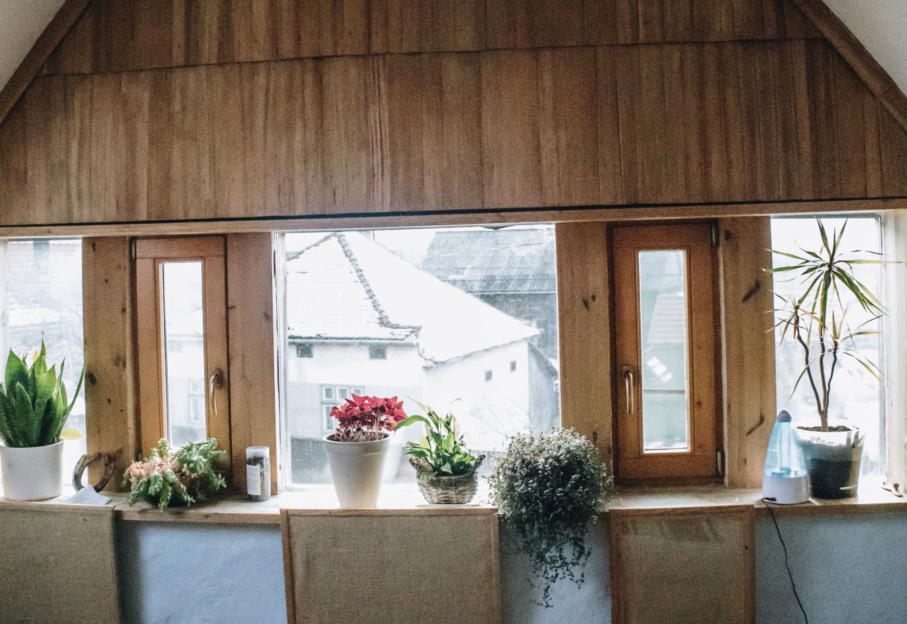 •  Fotó: Benedek Helga