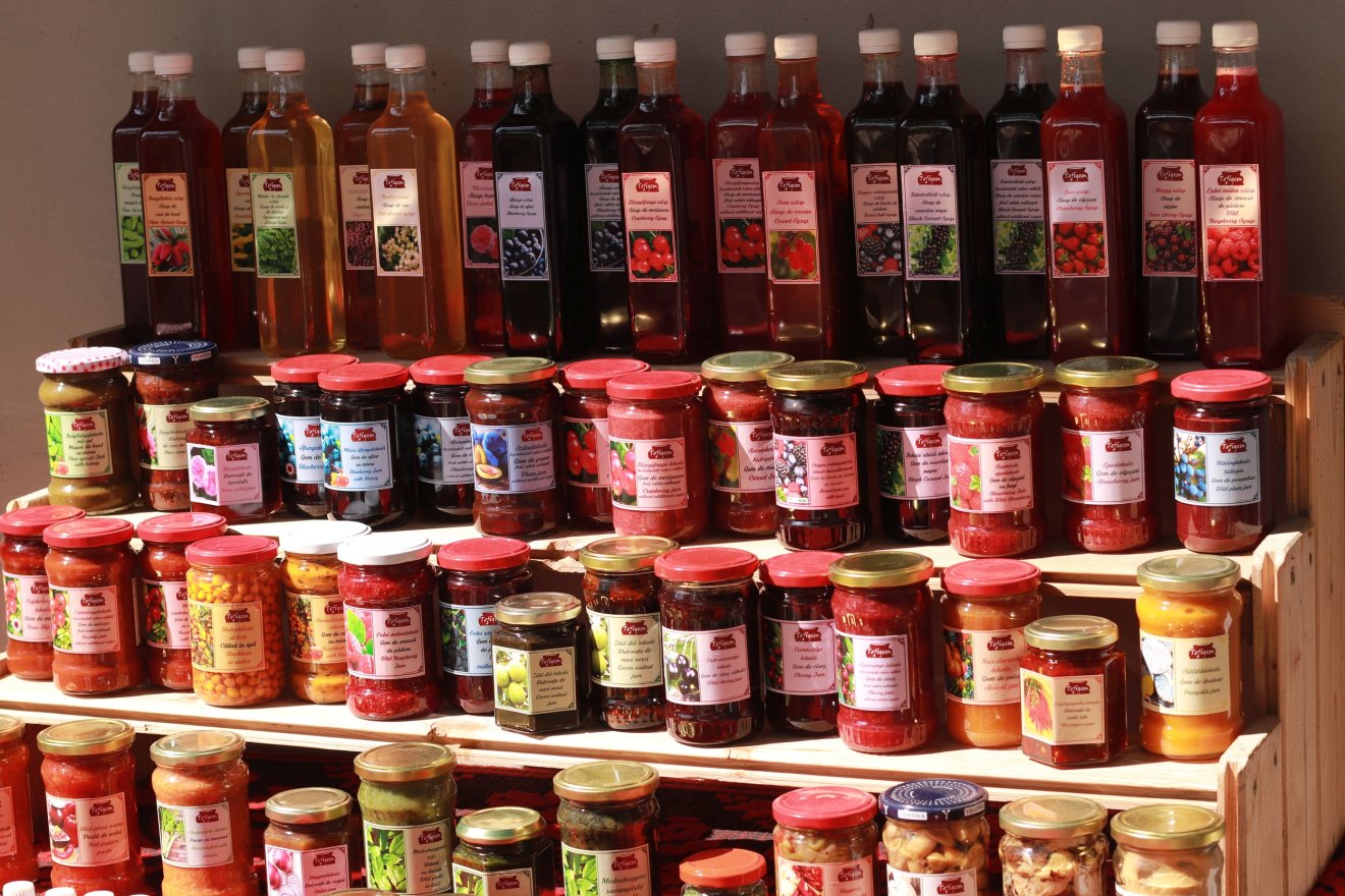 •  Fotó: Magyari Tekla