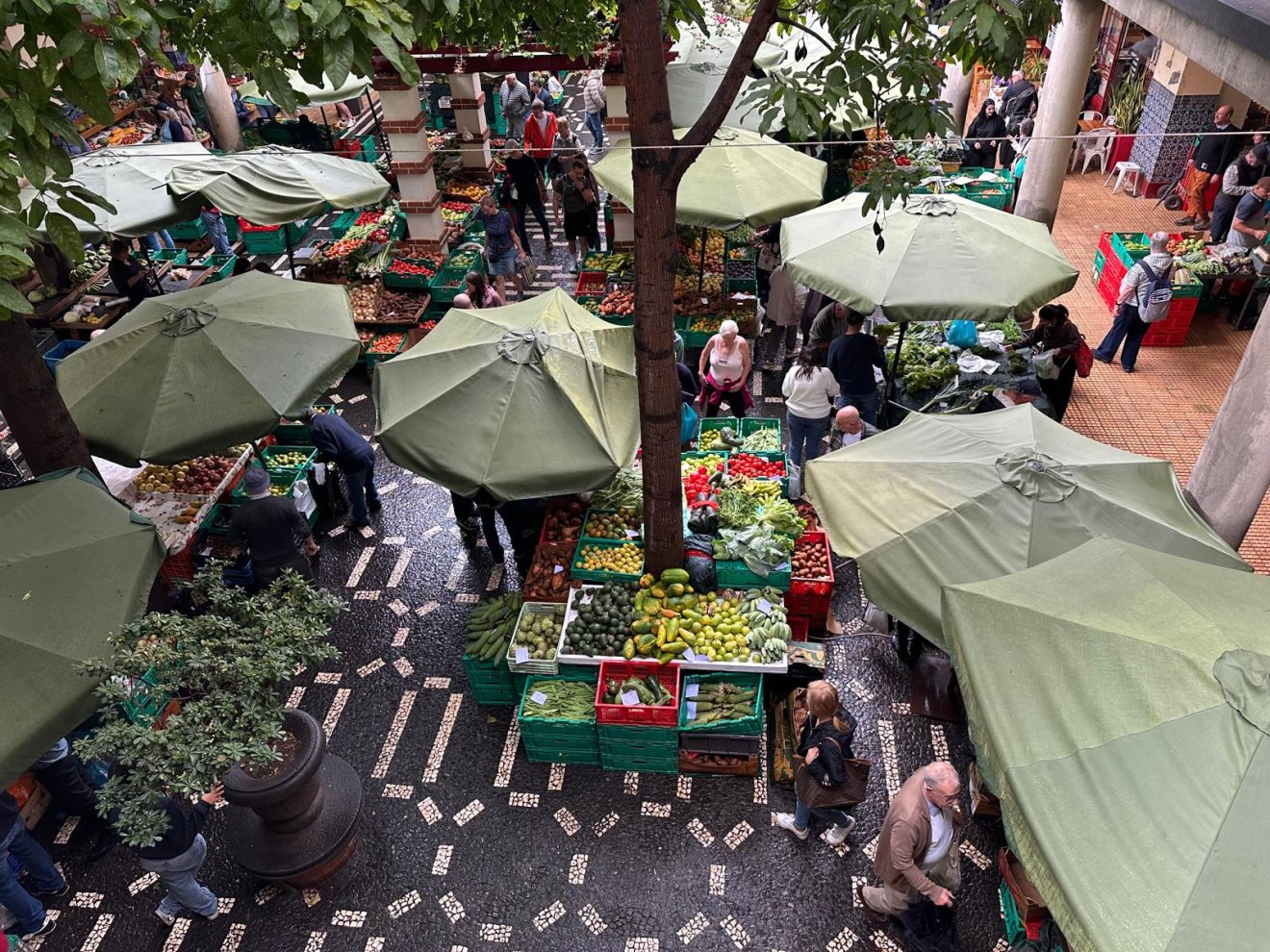 &bullet;  Fotó: Nagyálmos Ildikó archívumából