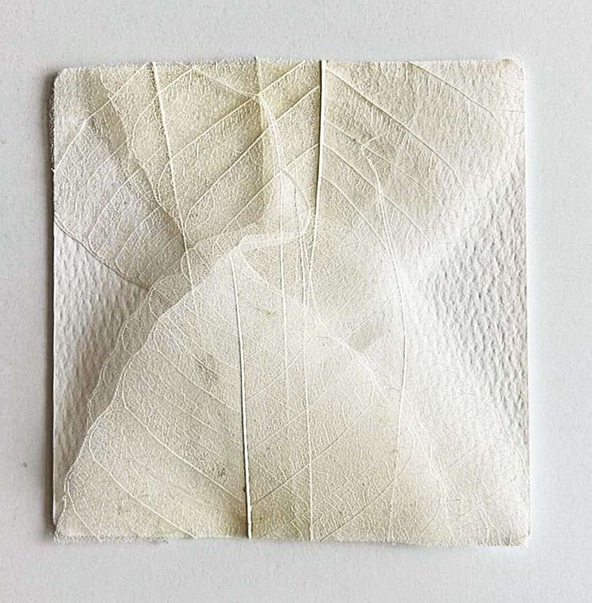 &bullet;  Fotó: dr. Adorjáni-Györgypál Réka archívuma