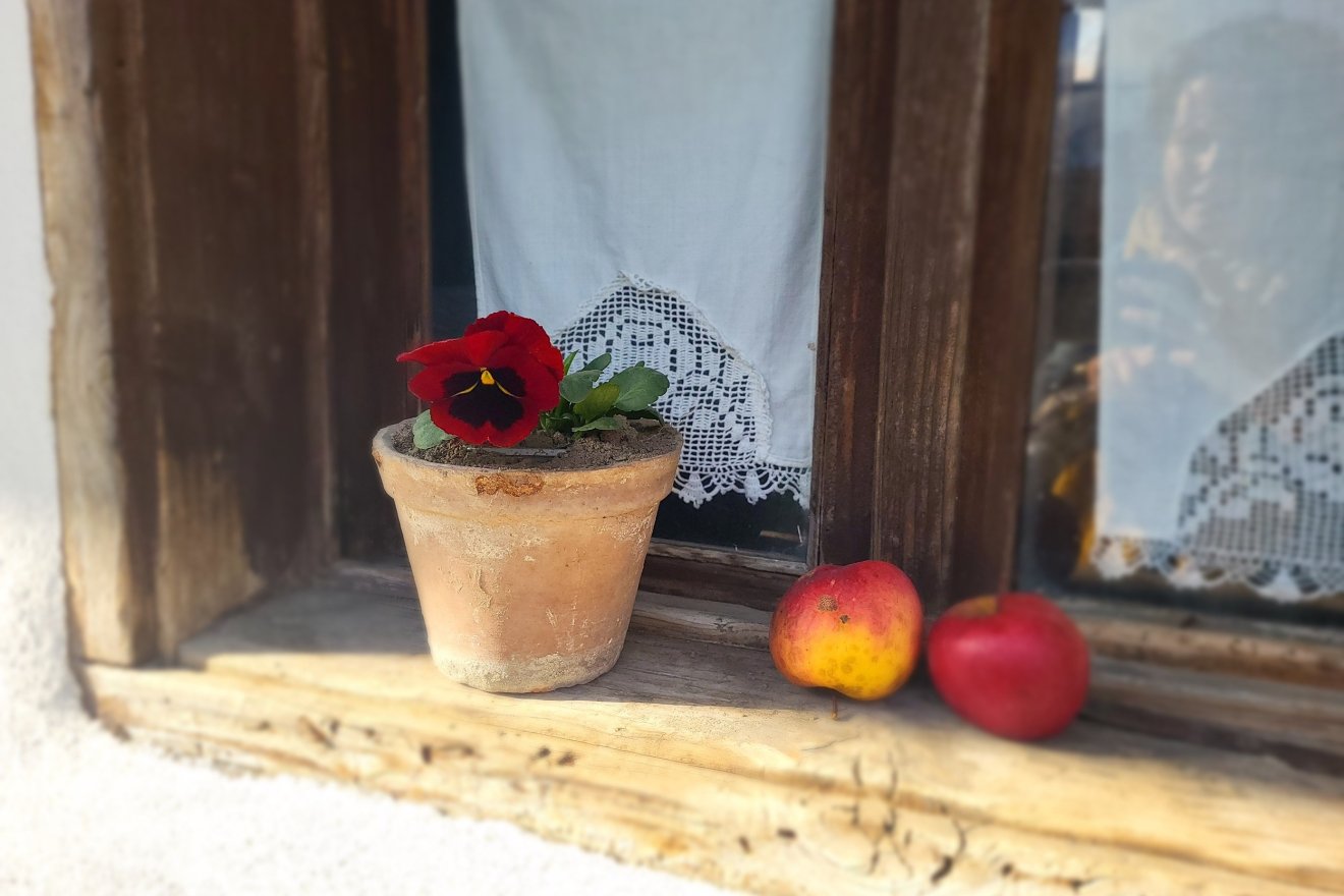 &bullet;  Fotó: Magyari Tekla