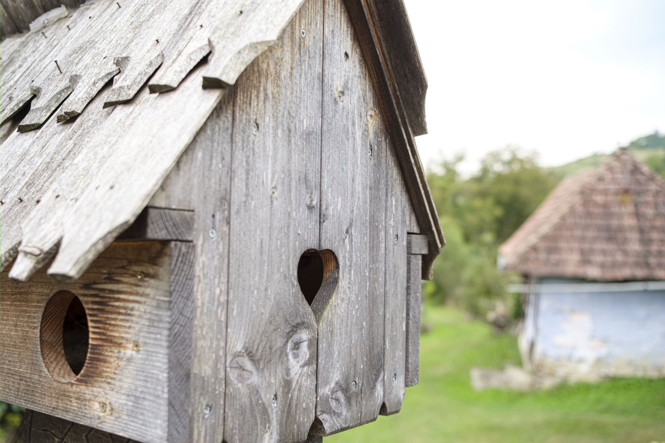 &bullet;  Fotó: Veres Nándor