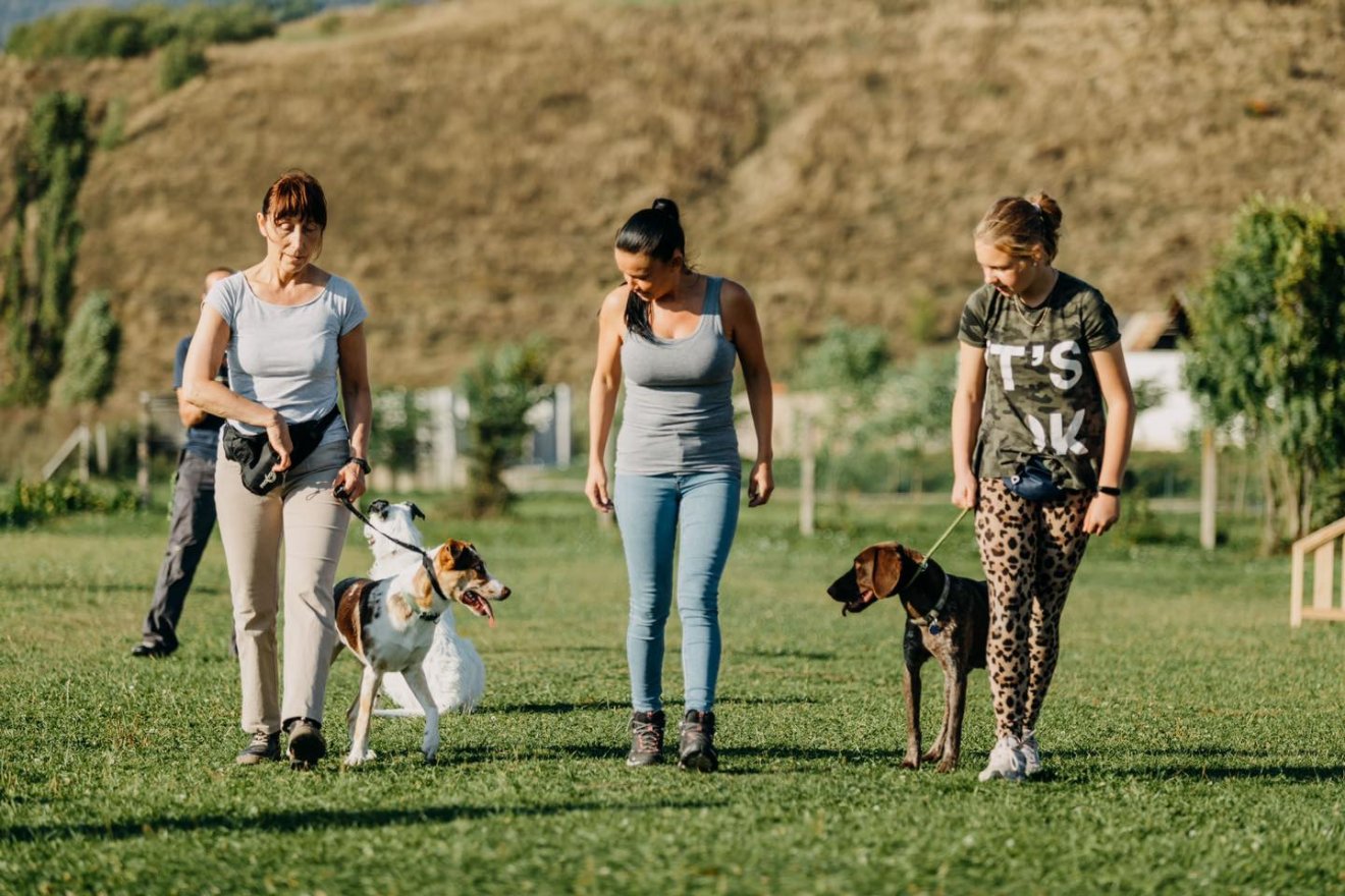 • Fotó: Nagy Beáta Júlia archívuma