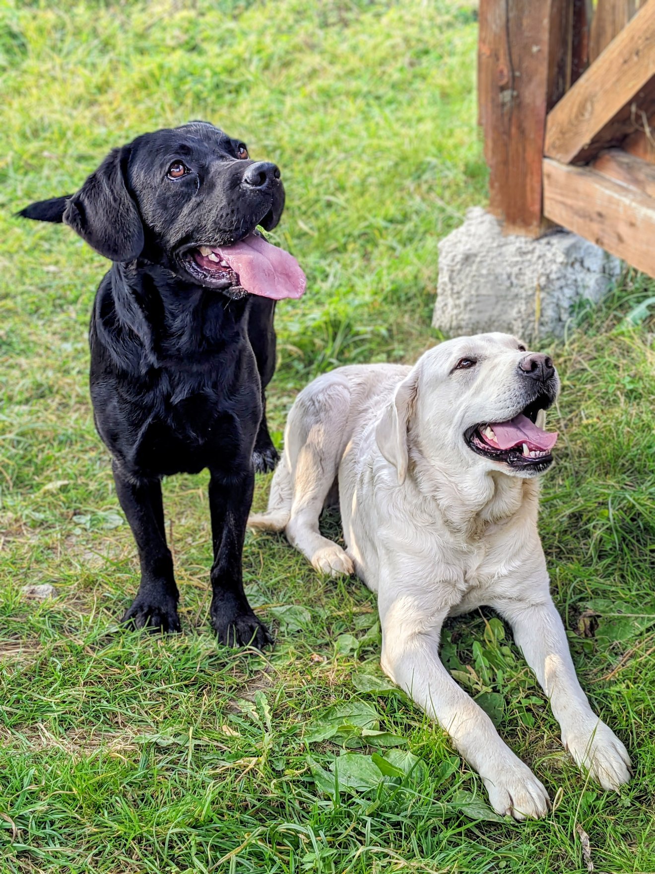&bullet;  Fotó: Gergely Orsolya archívuma