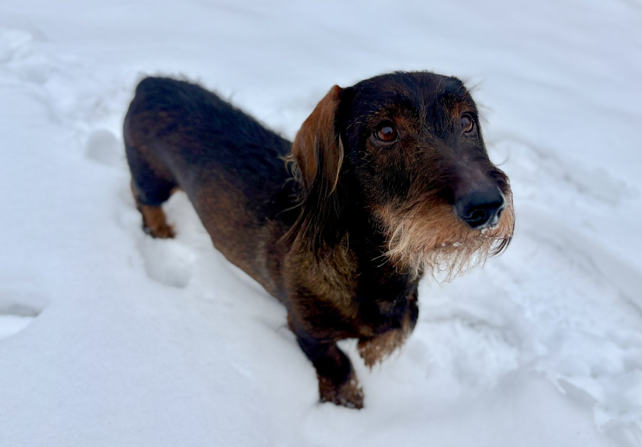 &bullet;  Fotó: Csatlos Tünde archívuma