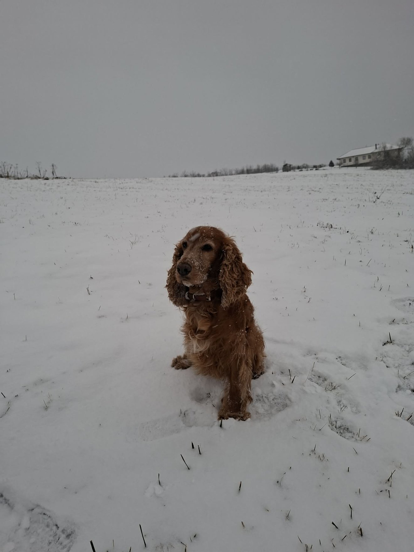 &bullet;  Fotó: Demeter Melinda archívuma