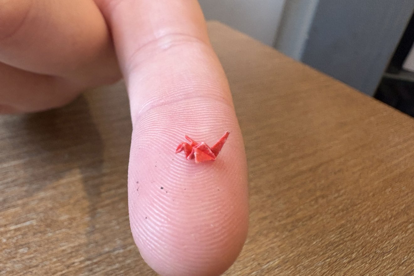 • Fotó: Muhi Balázs archívuma