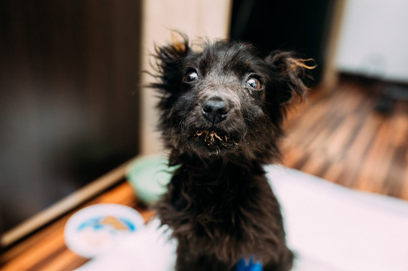 &bullet;  Fotó: Angyalosi Bea