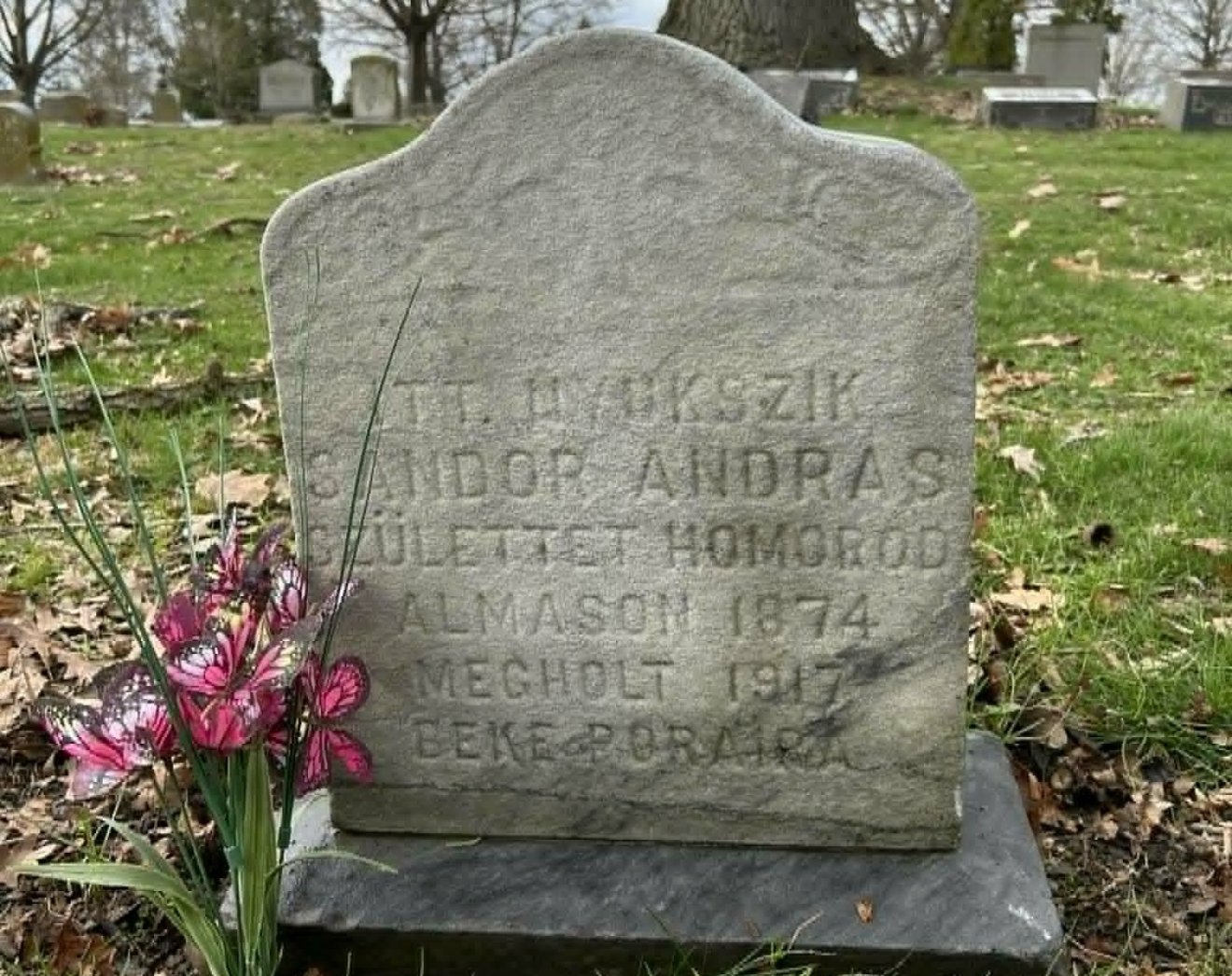 Sándor András sírja &bullet;  Fotó: Török-Sándor Ibolya archívuma