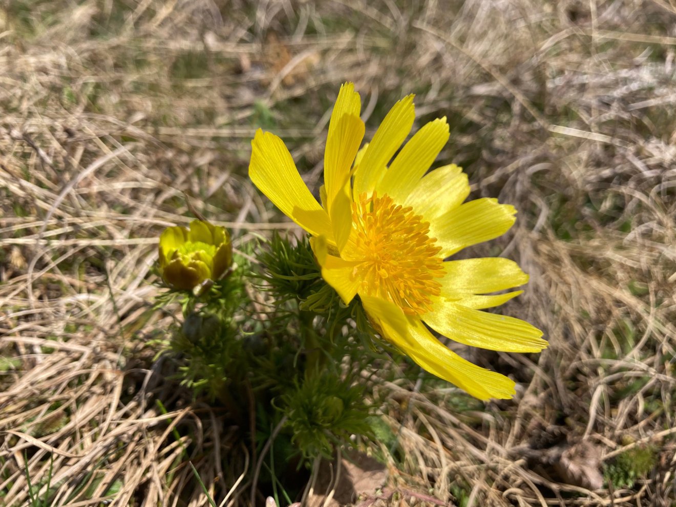 &bullet;  Fotó: Asztalos Ágnes