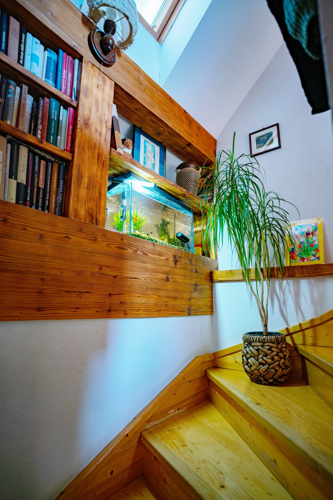 &bullet;  Fotó: Ürmösi Levente Mihály