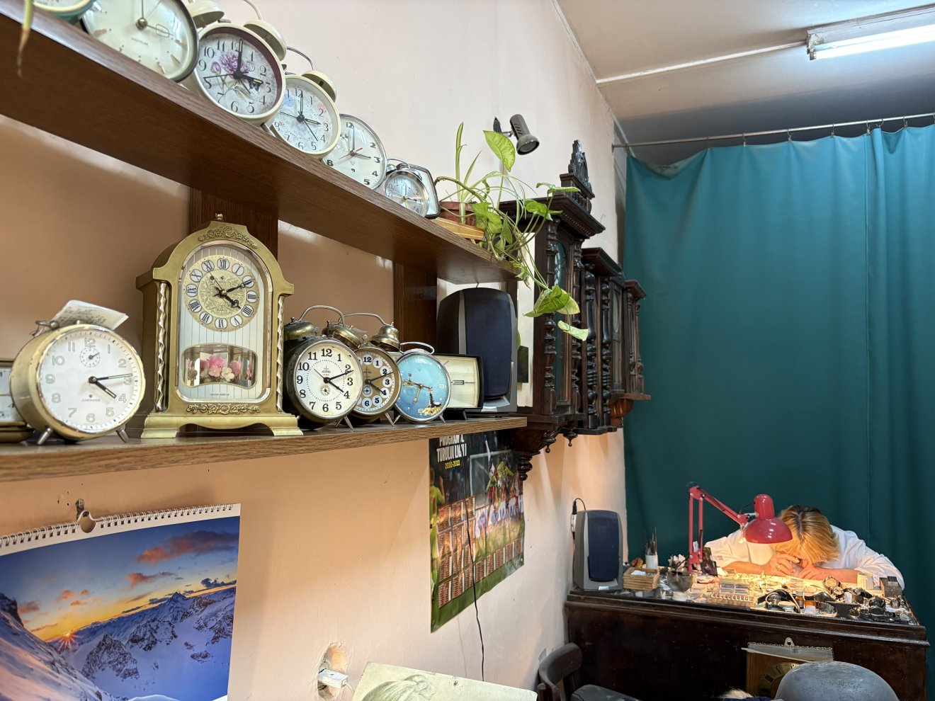 • Fotó: Csatlos Tünde