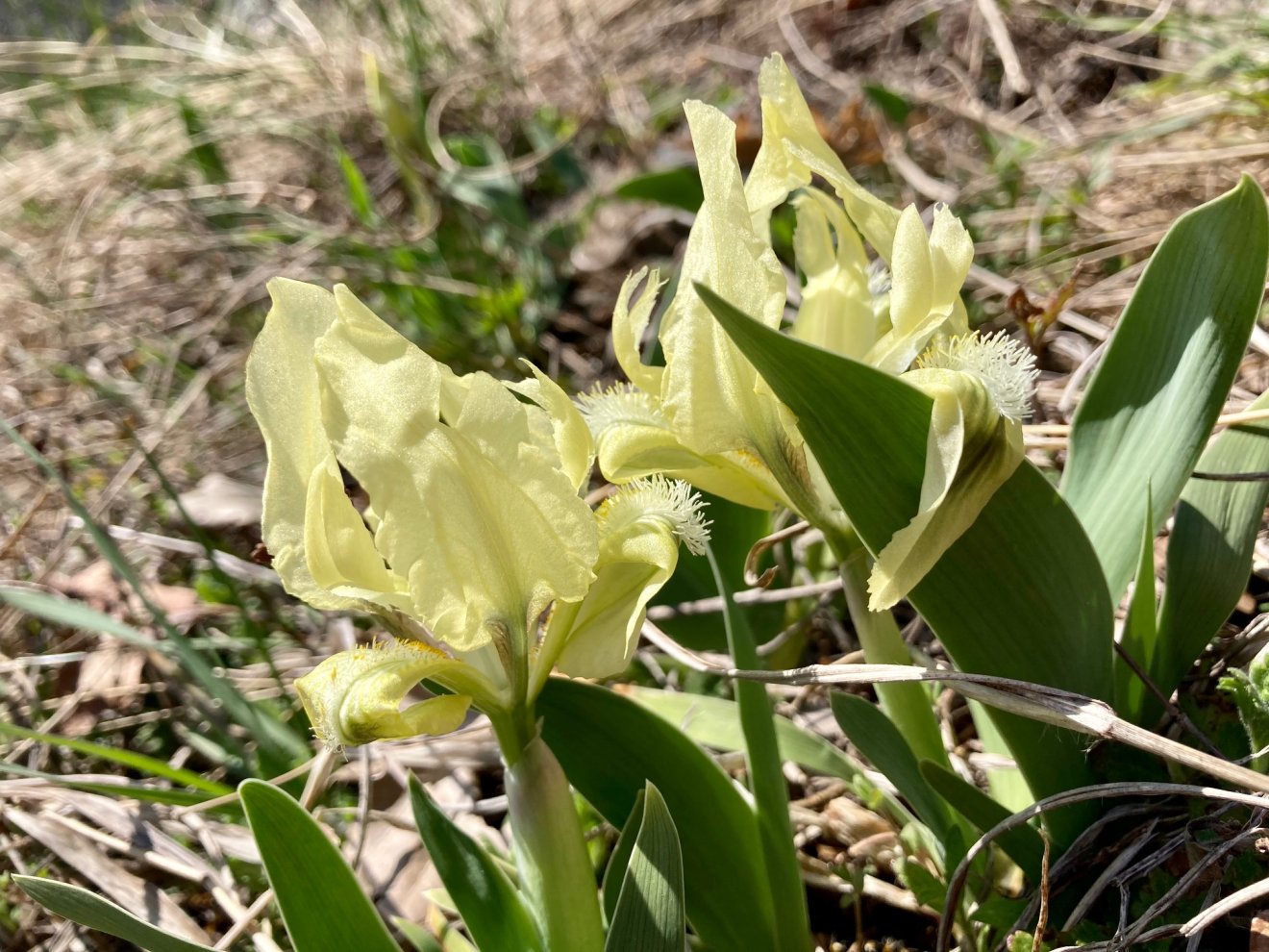 &bullet;  Fotó: Asztalos Ágnes