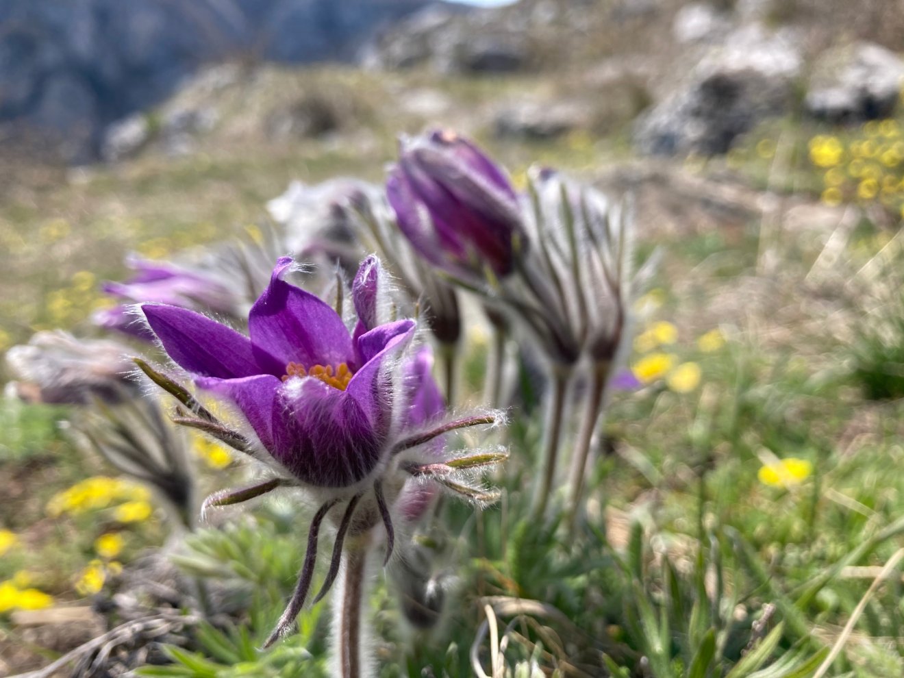 &bullet;  Fotó: Asztalos Ágnes