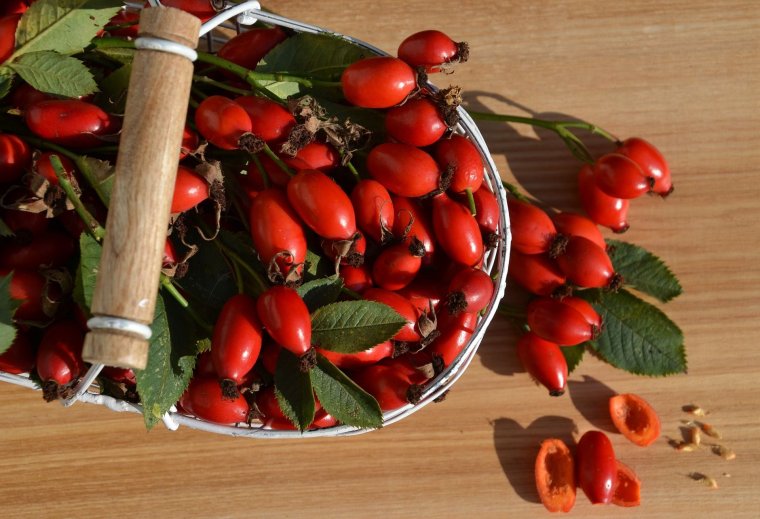 Csipkebogyó, kökény, galagonya – Őszi vitaminraktározás vadgyümölcsökkel