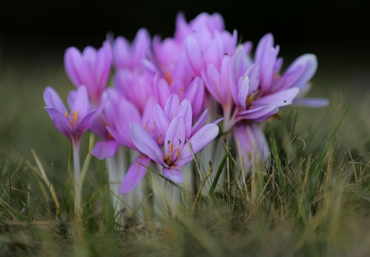 Menopauza – nem csak vég, kezdet is!