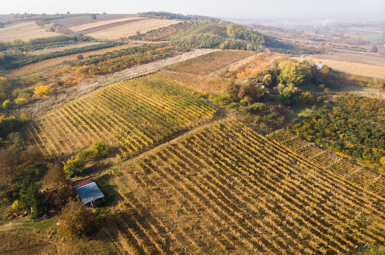 &bullet;  Fotó: Piheni Panni archívuma