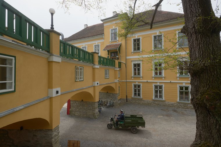 Gróf Mikes Ármin, a különutas vállalkozó