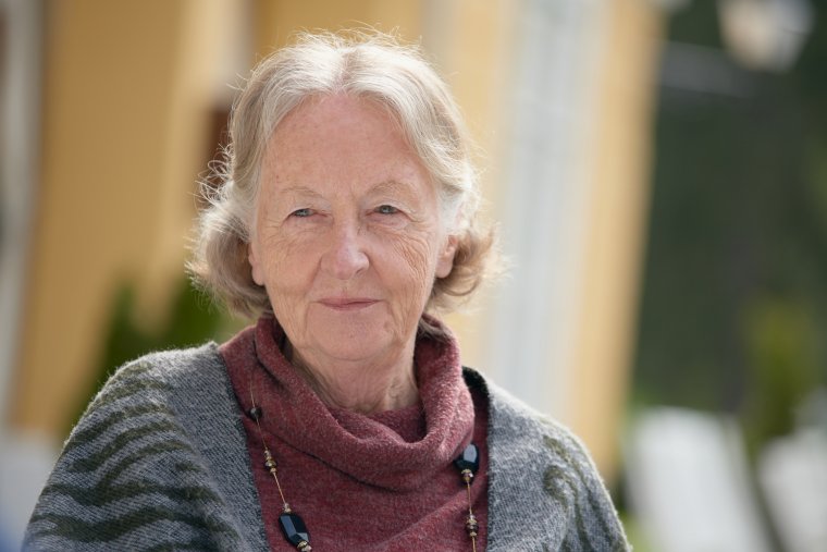 Gróf Mikes Katalin hontalansága