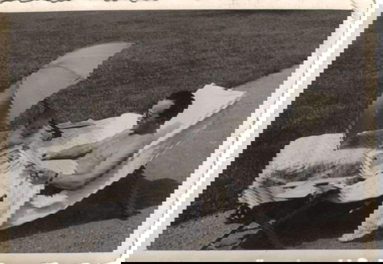Gróf Mikes Borbála: az összedőlő világ panorámája